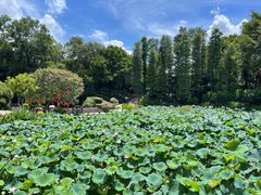 -广州莲花山旅游区