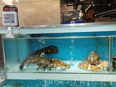 -盒马鲜生(枣园路店)
