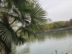 -西溪国家湿地公园