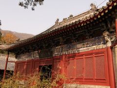 -北京上方山国家森林公园