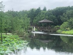 -同里国家湿地公园