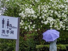 -尚贤河湿地