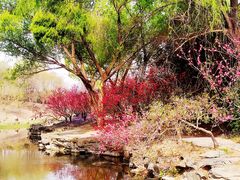 -圆明园遗址公园-藻园门售票处