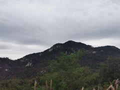 -沂蒙山旅游区云蒙景区(蒙山国家森林公园)
