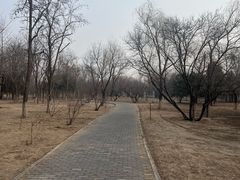 -绿堤公园