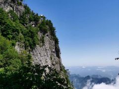 -秦岭天竺山景区