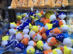-汤姆熊欢乐世界(光启城店)