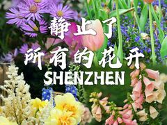 -深圳市中科院仙湖植物园