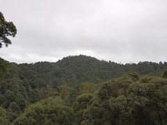 -九龙江国家森林公园