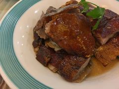 -椿记烧鹅(叠彩店)