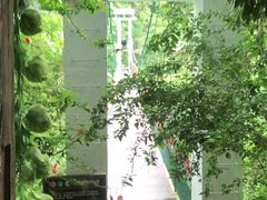-西双版纳原始森林公园