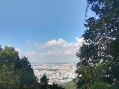 -阳台山森林公园