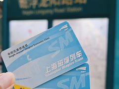 -龙阳路磁悬浮列车总站-停车场