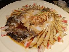 -红蜡烛-养生粥-津鲁菜(中山路店)