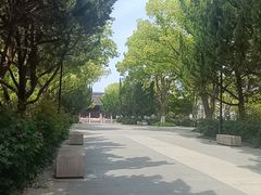 -苏州文庙(姑苏区)