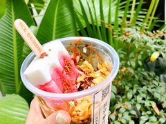 椰奶雪雪冻-眞宗·椰汁是大王(小娄巷店)