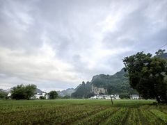 -明仕田园