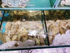 -蟹谢蒸鲜自助餐厅