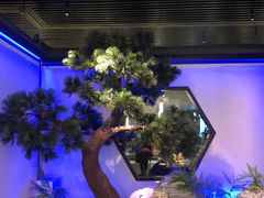 门面-绿茶餐厅(成都大悦城店)