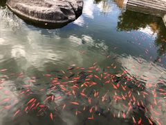 -三塔倒影公园