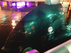 -海底巡游艇:尼莫和好友的海洋世界