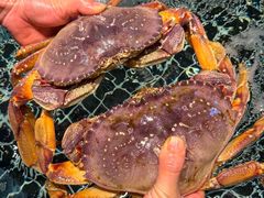 -桐湾大院·桐庐菜(滨江店)