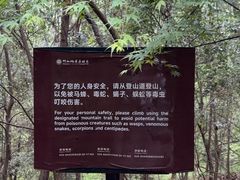 -紫金山山顶公园