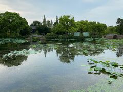 -无锡蠡湖国家湿地公园-蠡园