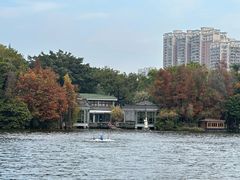 -荔湾湖公园