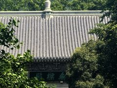 -灵谷景区