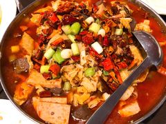 毛血旺-滋味成都