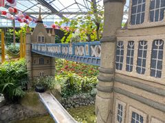 -南宫五洲植物乐园