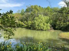 -昆山城市生态森林公园