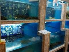 -谭谈川菜(控江路店)