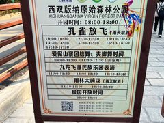 -西双版纳原始森林公园