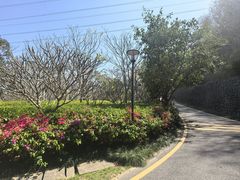-小南山公园