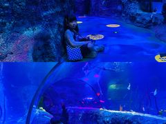 -沈阳海洋探索中心