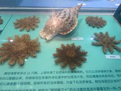 -大连自然博物馆