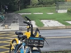 -木塔寺遗址生态公园
