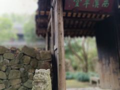 -西溪国家湿地公园