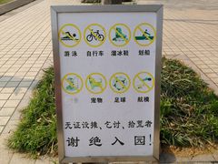 -新江湾城公园