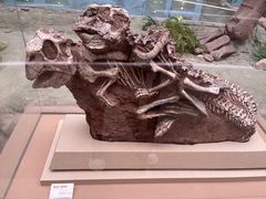 -陕西自然博物馆