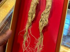 -北京同仁堂施小墨中医馆(建外SOHO店)