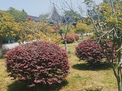 -锦溪古镇