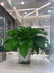 -MMby HairCode 芭曲发型概念店
