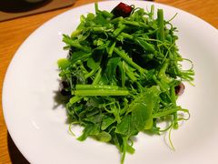 炝拌辣木苗-新荣记(西溪湿地店)