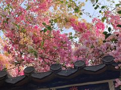 -深圳国际园林花卉博览园
