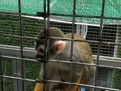 -武清南湖绿博园