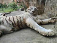 -杭州野生动物世界
