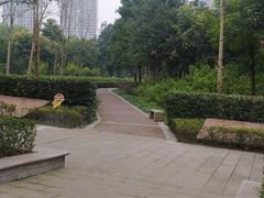 -重庆彩云湖湿地公园